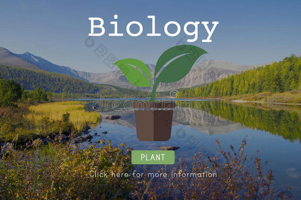 生物生物技术物理实验室科学概念