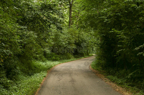 夏林路