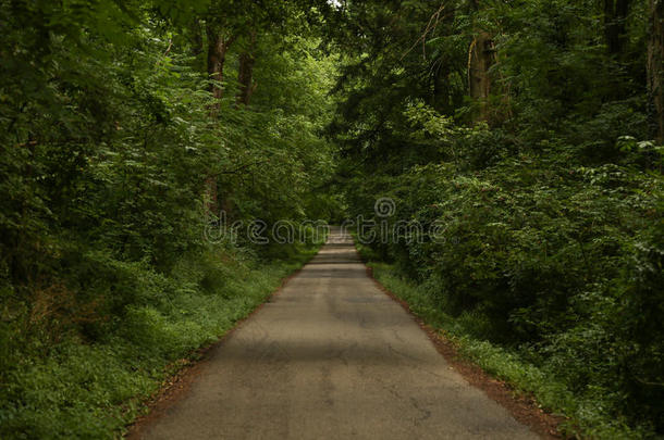 夏林路