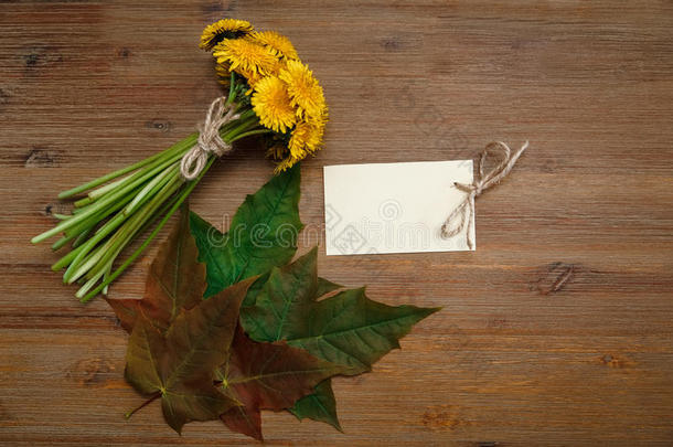 一束黄色的蒲公英，许愿卡，绿叶。秋天的花园‘
