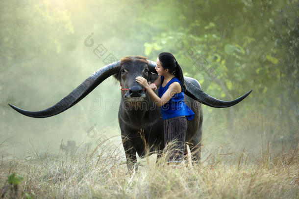 成人动物亚洲亚洲的水牛