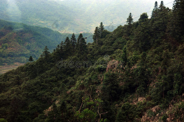 生物群系瓷器乡村县生态系统