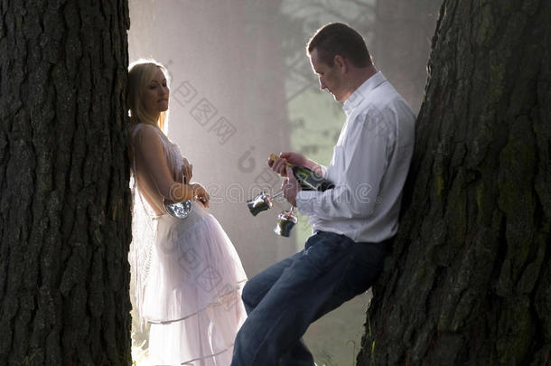 薄雾中靠在树干上的一对漂亮的年轻夫妇