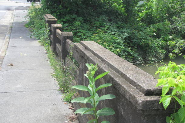 2013年混凝土约翰逊市植物人行道