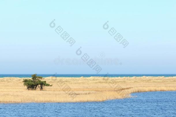 波罗的海海滩海岸沿海黑暗