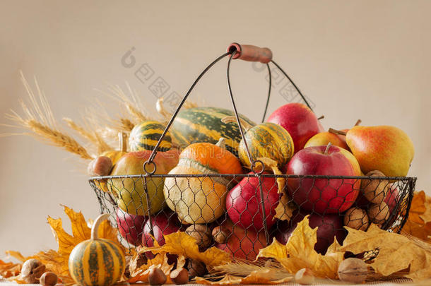 秋天的节日感恩节。 还有南瓜和苹果的生活，