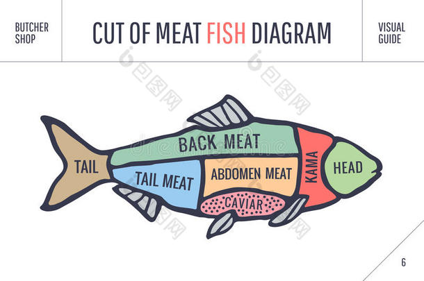 切肉套装。 <strong>海报</strong>屠夫图和方案-<strong>鱼</strong>。 老式打字手绘