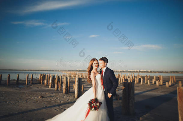 优雅时尚的幸福新婚夫妇，新娘，华丽的新郎在海和天空的背景