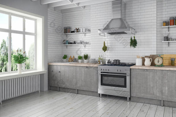 三维渲染-斯堪的纳维亚平面厨房