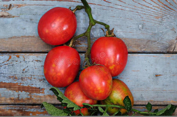 木制桌子<strong>上新</strong>鲜的<strong>红色</strong>西红柿的树枝