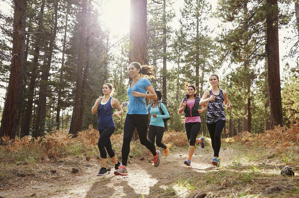 一群年轻的成年妇女在森林里奔跑，特写