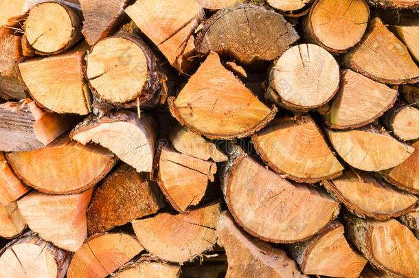 砍柴的原木堆在一堆里