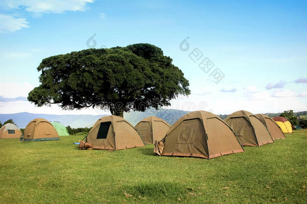 在Ngorongoro火山口山脉的营地。 非洲。