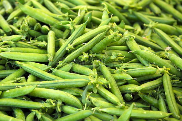 作物食物花园豆类市场