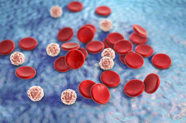 血细胞，三维插图