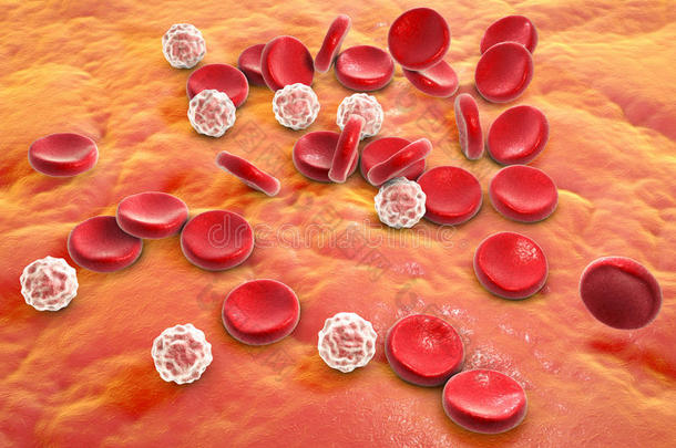 血细胞，三维插图