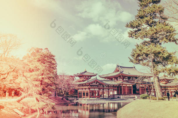 日本京都太阳穴(过滤图像处理年份