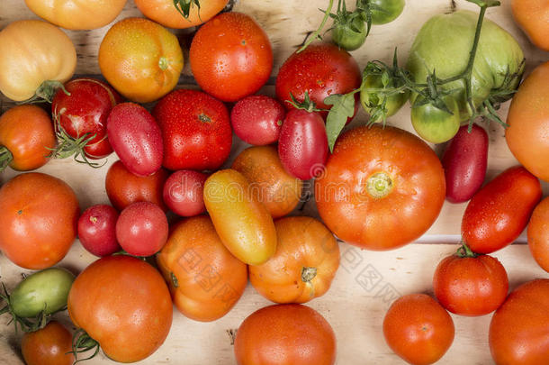 新鲜西红柿的特写镜头。 年轻多汁的西红柿。 很多西红柿。 堆西红柿。 夏季农业农场市场托盘