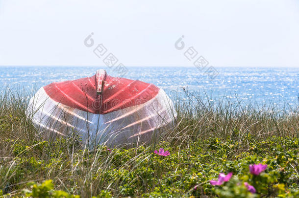 海滩美丽的蓝色船海岸