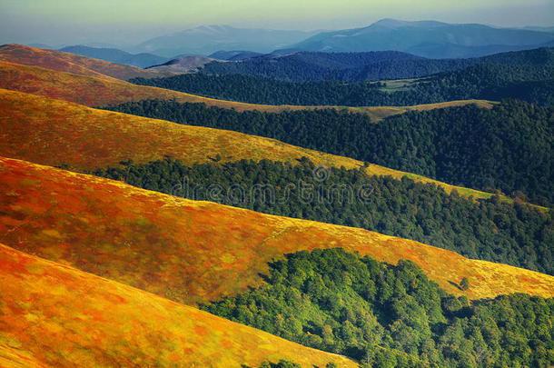 秋天的风景，地平线上有小山、树木和山峰