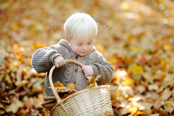 积极的秋天宝贝篮子美丽的