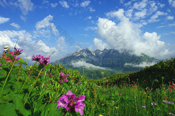 高山草地和山花背景上的远山在一片美丽的云