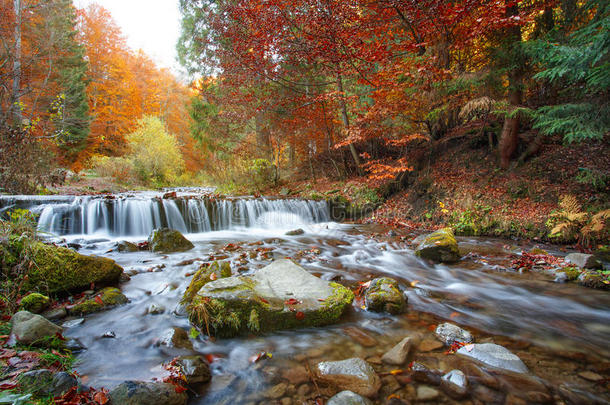 美丽的森林瀑布，秋天的风景