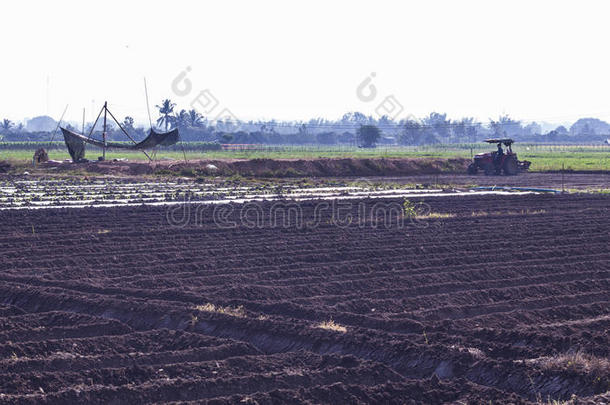 农民在他的拖拉机上耕作土壤，亚洲泰国