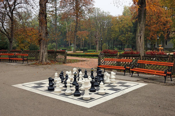 公园里的黑白国际象棋人物