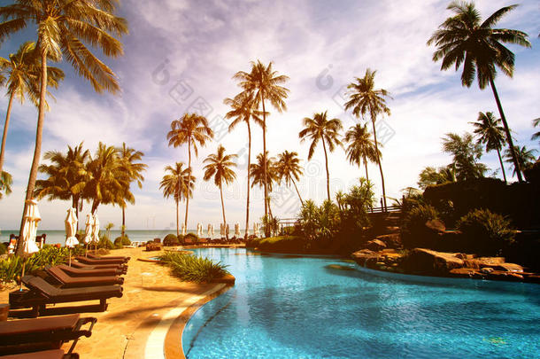 热带度假酒店游泳池的躺椅