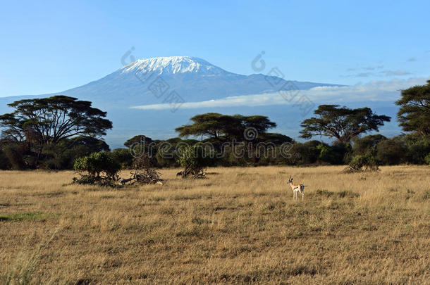 羚羊赠款在肯尼亚