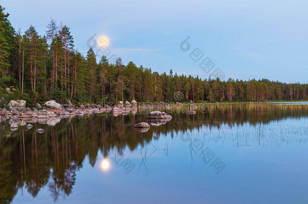 湖岸的森林和满月