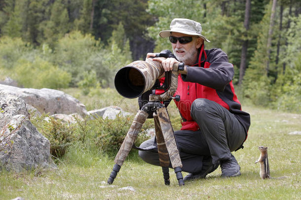 金色的地松鼠观察野生动物摄影师