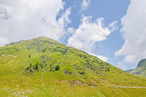 喀尔巴阡<strong>山</strong>，法加拉斯<strong>山</strong>与绿色森林<strong>松树和</strong>