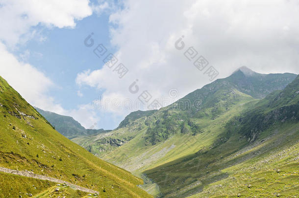 喀尔巴阡山，法加拉斯山与绿色森林松树和