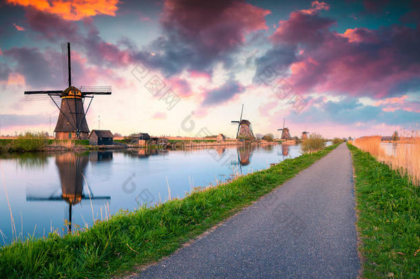 五颜六色的春天场景在著名的Kinderdijk运河与风车