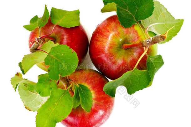 新鲜甜可口的红苹果分离在白色背景上