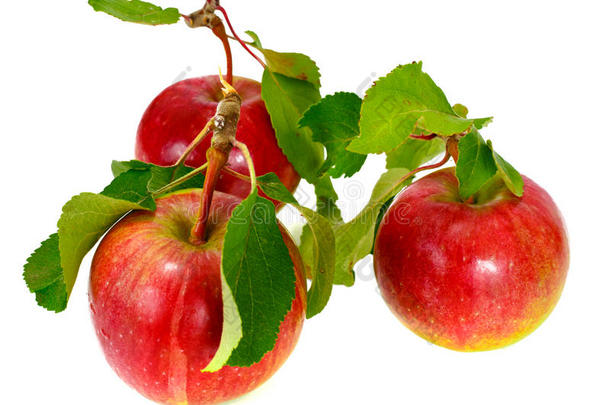 新鲜甜可口的红苹果分离在白色背景上