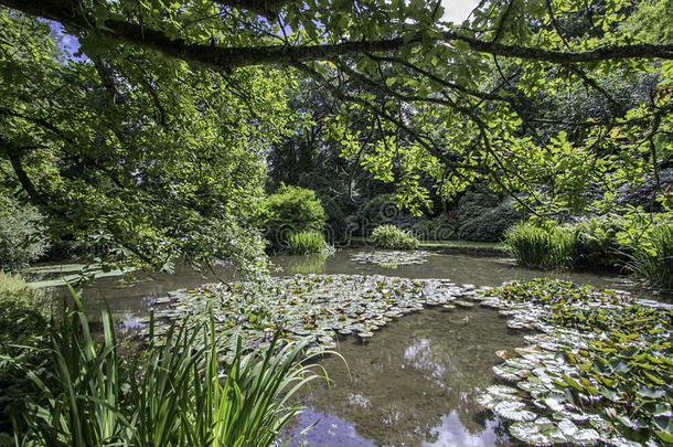 夏天美丽的英国水上花园。