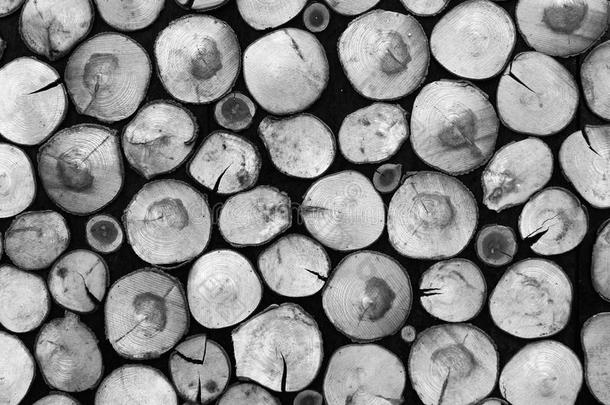 一堆干柴原木的黑白自然背景