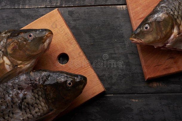 木板上的鱼
