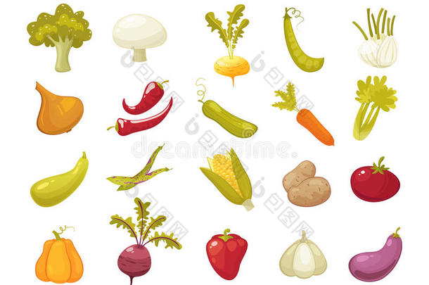 生态农业生产经典蔬菜图标设置在白色背景上。 复古的矢量插图