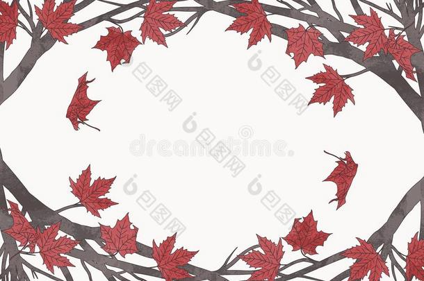 秋季框架模板与红色枫叶