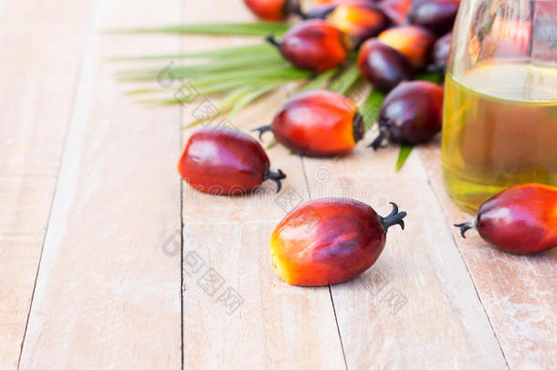 商业<strong>棕榈油</strong>种植。 由于<strong>棕榈油</strong>含有更多的饱和脂肪，它在食品中的用途。 来自桂皮的油也是