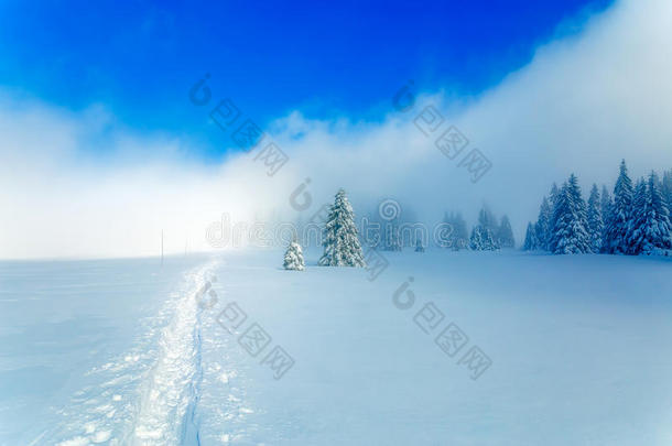 美丽的山地雪景和雪覆盖着雪中的树木和雪道。 美丽的阳光明媚的一天