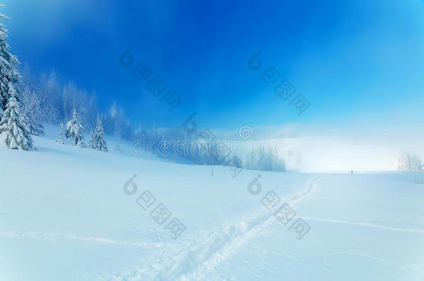 美丽的山地<strong>雪景</strong>和雪覆盖着雪中的<strong>树木</strong>和雪道。 美丽的阳光明媚的一天
