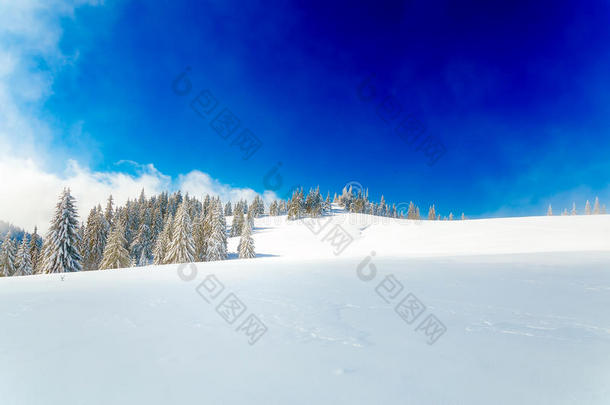 美丽的山地雪景和白雪覆盖的树木。 山中美丽的晴天。