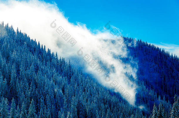 美丽的山地<strong>雪景</strong>和白雪覆盖的<strong>树木</strong>。 山中美丽的晴天。