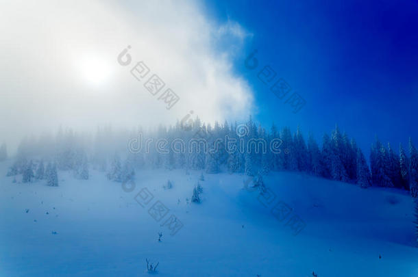 美丽的山地雪景和白雪覆盖的树木。