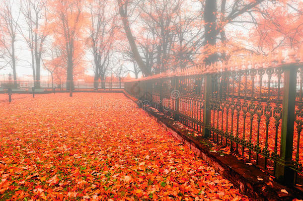 秋季公园在雾天-丰富多彩的秋季自然景观